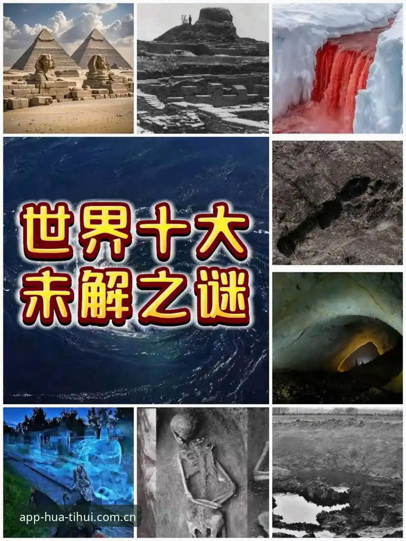 华体会CN新版登录怎么样 深度揭秘索斯盖特新纪录片背后:为什么男孩群体成了隐形困局?